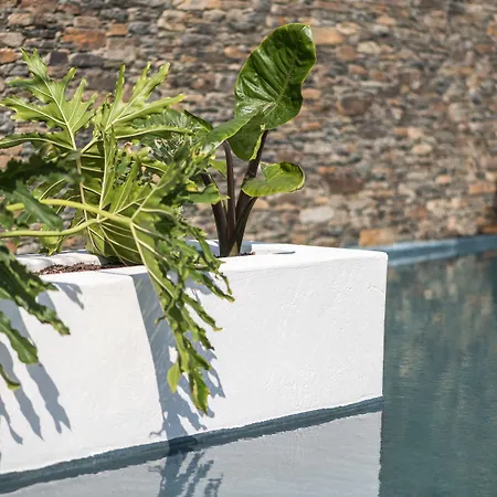 Boutique Hotel Villa Gala By Fimedhotels-2